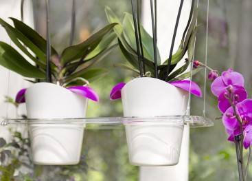 Правильный горшок для орхидеи: на что обратить внимание | Орхидеи - выращивание цветов орхидей в домашних условиях